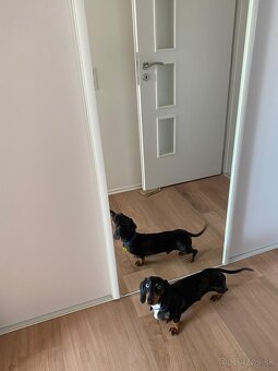 Nadštandardný 2-izbový byt 65m2 so samostatnou kuchyňou - 14