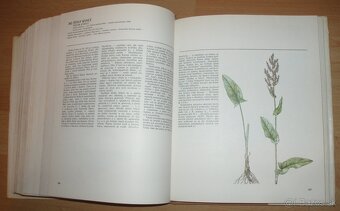 Atlas Liečivých rastlín a lesných plodov - 14