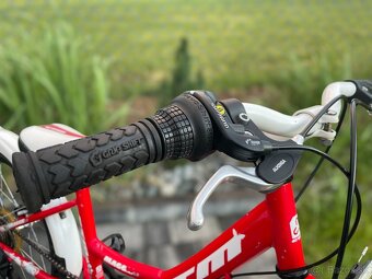 Detský 20” bicykel pre vašu malú cyklistku - 14