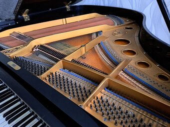 Klavír - křídlo August Förster - 14