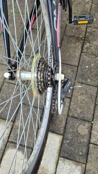 Onezone Donna 26" - 14