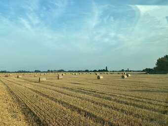 Slama pre ŽV, záhradu a na ďalšie iné využitie - 14