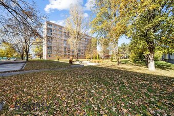 Trojizbový byt v tehlovom bytovom dome na predaj - 14