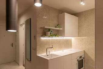 TOP REZIDENCIA PRI RADNICI, 1-izb.byt, loggia, pivnica - 14