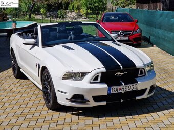 Mustang Facelift Convertible - 14