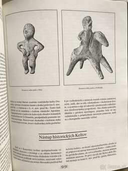 Dejiny Slovenska, Rebelanti  a Suplikanti, Techniky maľby - 14