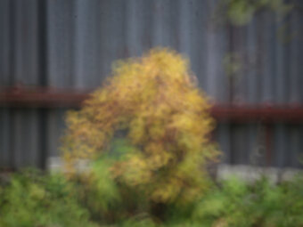 RMC Tokina 500mm / F8 / M42 - 14