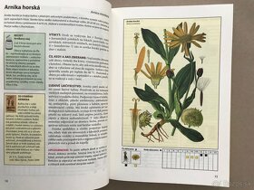 Izbové rastliny, Herbár, Atlas liečivých rastlín a lesných - 14
