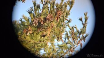 Ďalekohľad BPC 15X50 Dioptex - 14