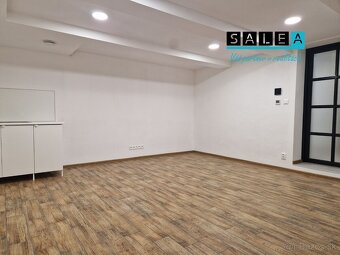 Prenájom pre pestrú ponuku služieb pešia zóna Šaľa 200 m2 al - 14