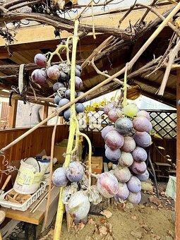 ZACHOVALÁ DREVENICA na predaj - 14