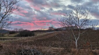 Rodinný dom s potenciálom na podnikanie v obci Malé Zlievce  - 14