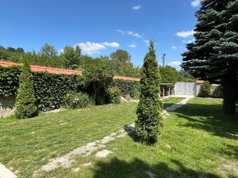 Záhrada s chatou - Devín - 14
