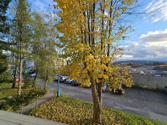 Prenájom 2 izbový byt s balkónom na sídlisku Západ- Poprad - 14