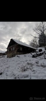 Stará pôvodná drevenica na polosamote pri lese - 14