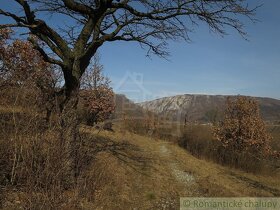 Vinica s chatou neďaleko Zádielskej doliny - 14