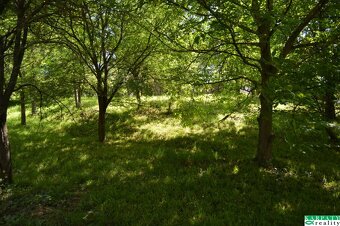 Domček na chalupárčenie pod starou morušou - 14