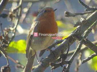 3 pozemky, 3 chatky, na výstavbu domu, Bartošova Lehôtka - 14