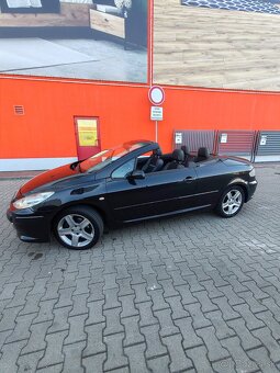 Peugeot 307cc 2.0hdi - 14