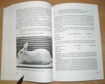 Intenzívny chov brojlerových králikov - 14