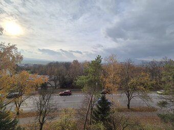 Na prenájom: kompletne prerobený 1 izbový byt TRENCIN - 14