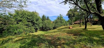 Chalupa v Jablonke (Myjava) - 14