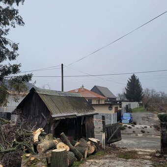Rizikové rezanie stromov - 14