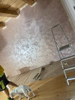 Dom 8km od okresného mesta - 14