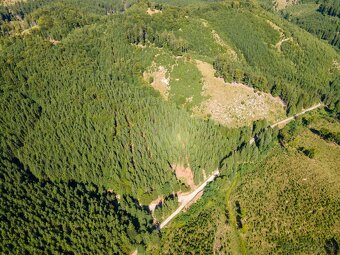 HOSPODÁRSKY LES V OBCI BUDIŠ V OKRESE TURČIANSKE TEPLICE - 14