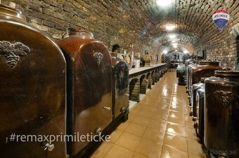 Na predaj exkluzívna usadlosť s nekonečnými možnosťami využi - 14