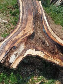 Orechove solitérne fosne na zaliatie živicou - 14