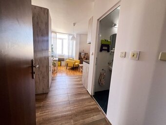 Štýlovo zariadený jednoizbový apartmán pre pohodlné bývanie  - 14