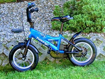 Bicykel Harry - 14