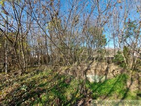 Pozemok s pozostatkami starého domu na okraji obce Pastovc - 14