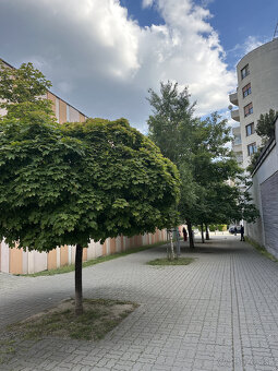 Výnimočný 3i byt v novšej tehlovej stavbe na 1. poschodí o c - 14