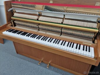 Hohner Piano pre viacero generácie - 14
