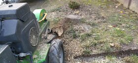 Frézovanie pňov, odstraňovanie pňov, výrub stromov - 14