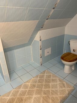 ZARIADENÝ APARTMÁN NA PRENÁJOM - BOJNICE - 14