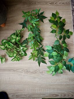 Predám terárium Repti planet - 14