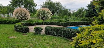 REZERVOVANÉ  Predaj domu 12284 m2, Pukanec - 14