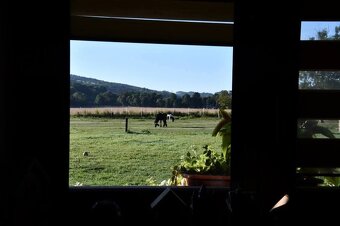 USTAJNENIE / JAZDENIE - 14