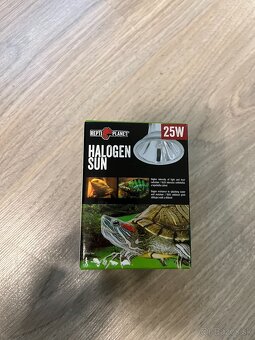 Agama bradatá + terárium - 14