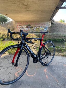 Pinarello - 14