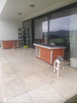Psia búda, latrína, kurín - 14