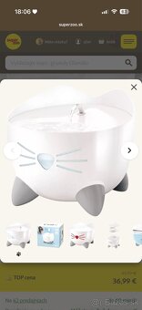 Predám Britských krátkosrstých kocúrikov - 14