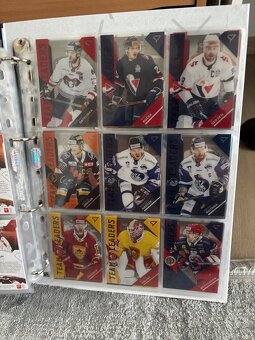 Hokejové kartičky - 14