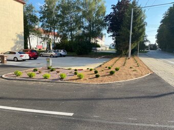 Frézovanie Pozemkov / Záhradnícke služby - 14