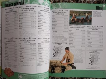 10 NAJ vo svete aj u nás - vydanie 2002, strán 151 - 14