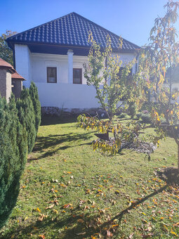 FINREA│Rodinný dom s veľkým pozemkom – Veľký Lom, okres Veľk - 14