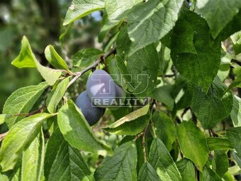 Nová cenaNa predaj útulná 2-izbová chalupa s veľkým... - 14